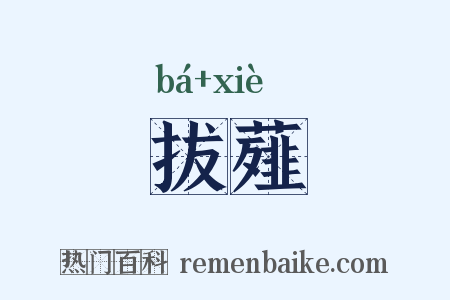 拔薤是什么意思的图片